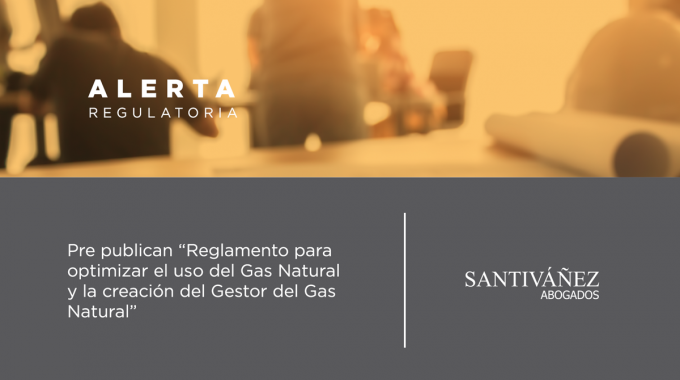 Pre Publican Reglamento Para Optimizar El Uso Del Gas Natural Y La Creación Del Gestor Del Gas Natural